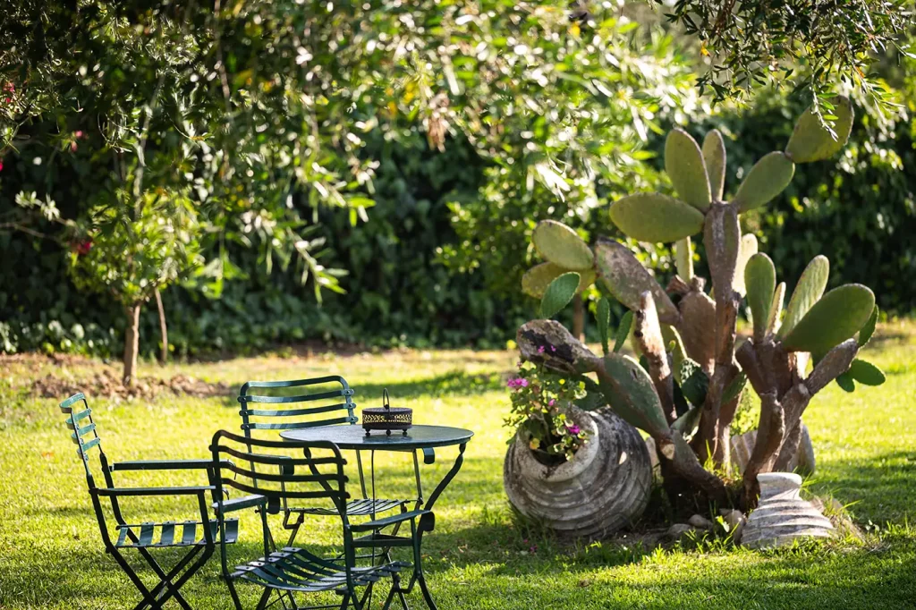 the olive project villa maria 1