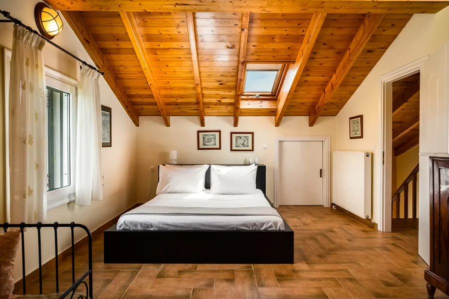 the olive project villa maria 15