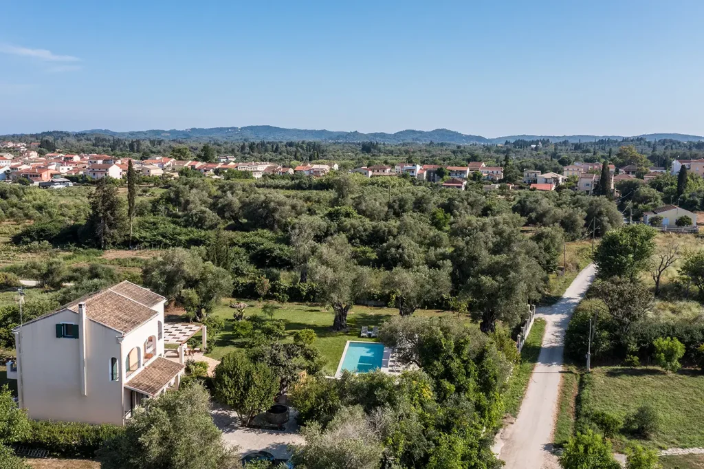 the olive project villa maria 3