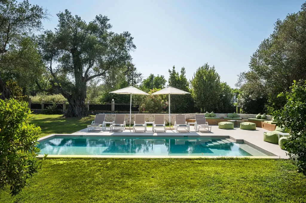 the olive project villa maria 4