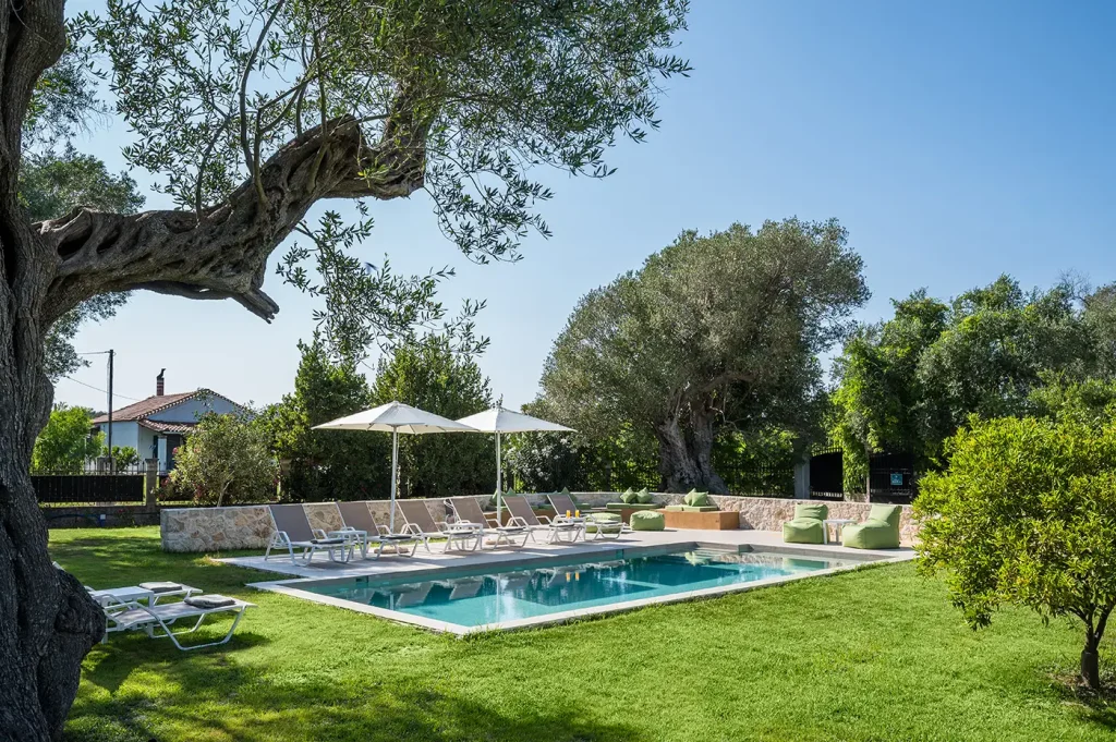 the olive project villa maria 8